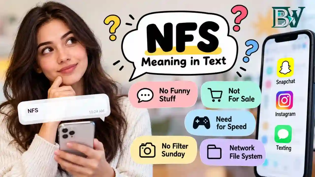 NFS Meaning in Text
